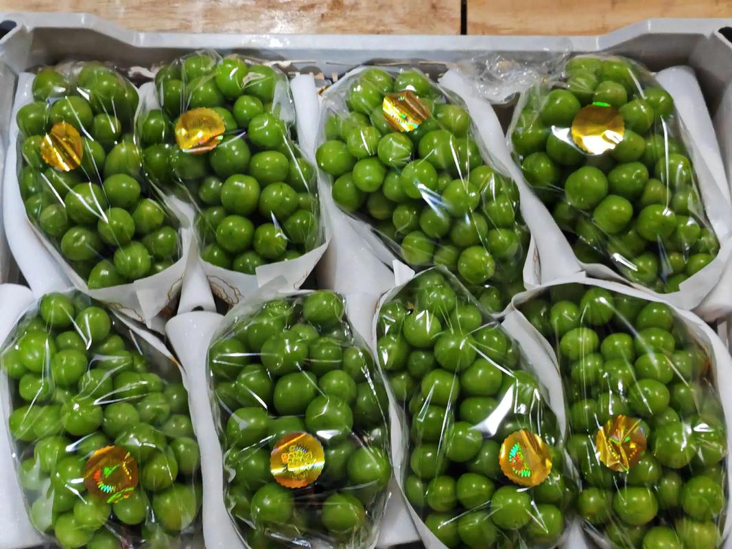 包裝袋都不夠大的大串大顆粒，總行了吧