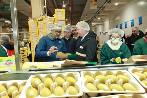 新西蘭貿易與農業部長親臨助陣，佳沛奇異果新季對華啟航，深化優質農產品合作