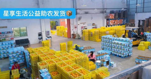 壟上產銷聯盟搭橋，初級農產品銷量破170萬斤走紅市場