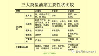 農產品基礎知識系列之油菜的一生 從種子到餐桌的初探