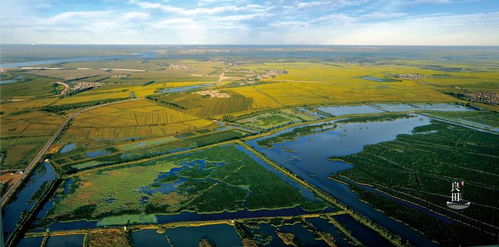 肇源大米 黑土精耕的玉粒瓊漿，香飄四海的北國饋贈